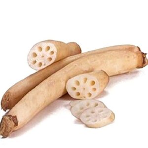 Lotus Stem
