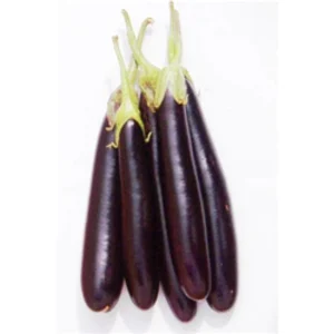 Brinjal Lamba