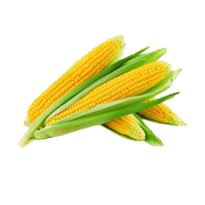 Corn