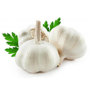 Garlic