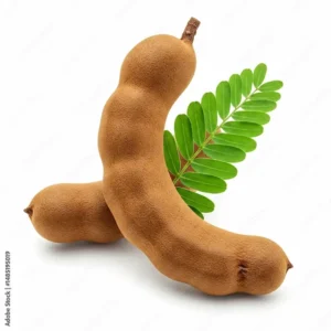 Tamarind